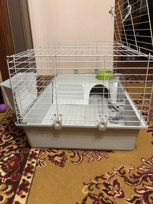 Клітка для кролика