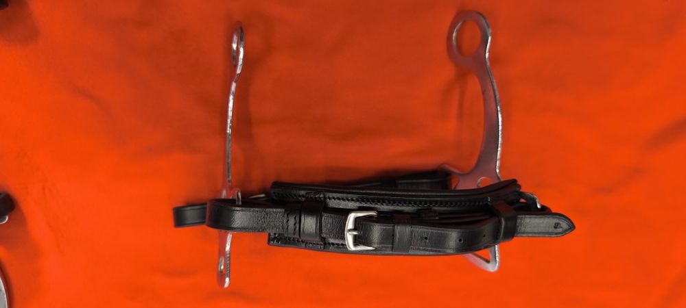 Hackamore, czanki, wedzidło