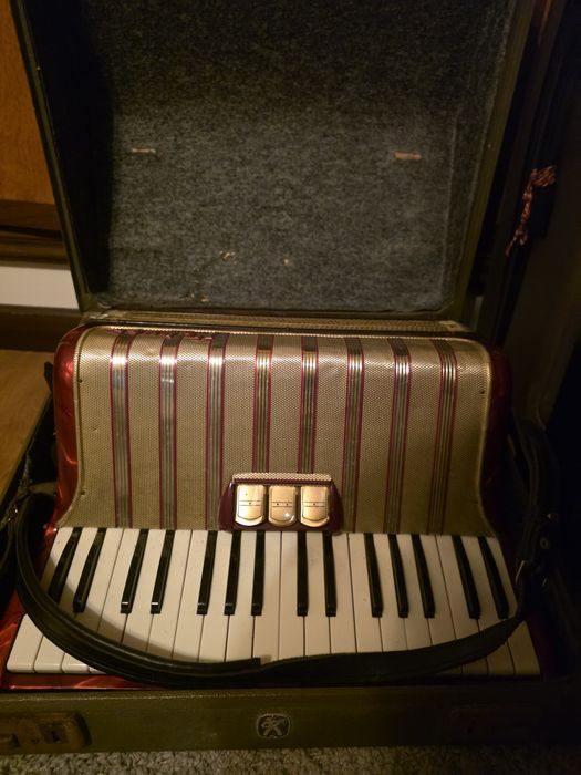Acordeao  Hohner Arietta I M com 72 baixos.