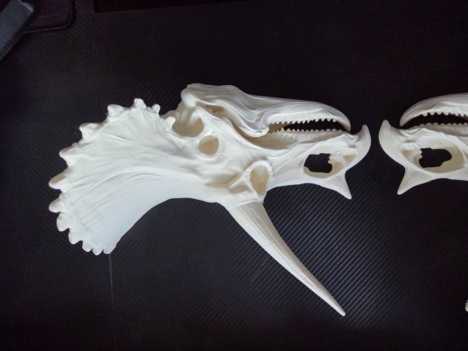 MEGA realistyczna CZASZKA TRICERATOPSA 3D 35cm – HIT!