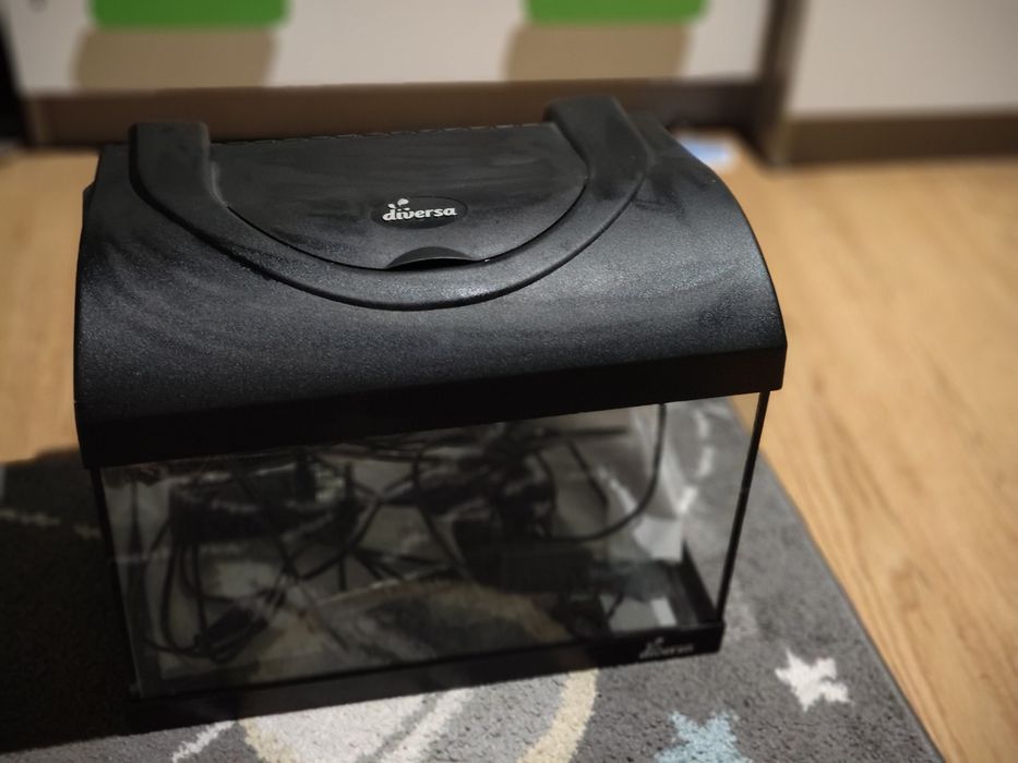 Akwarium plus dodatki