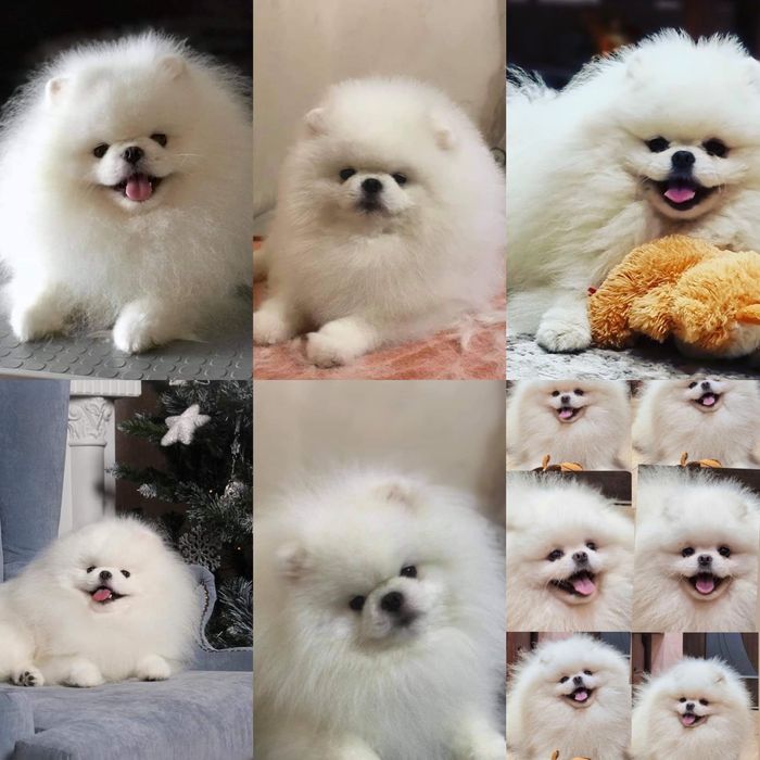 Супер кровi,в’язка i/о