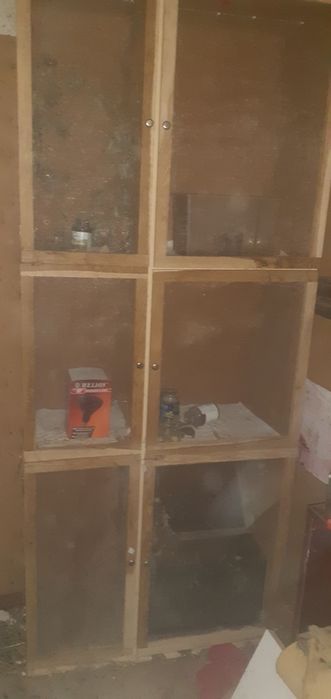 Terrarium dla owadów i nie tylko