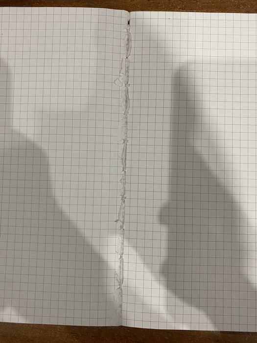 Блокнот у клітинку