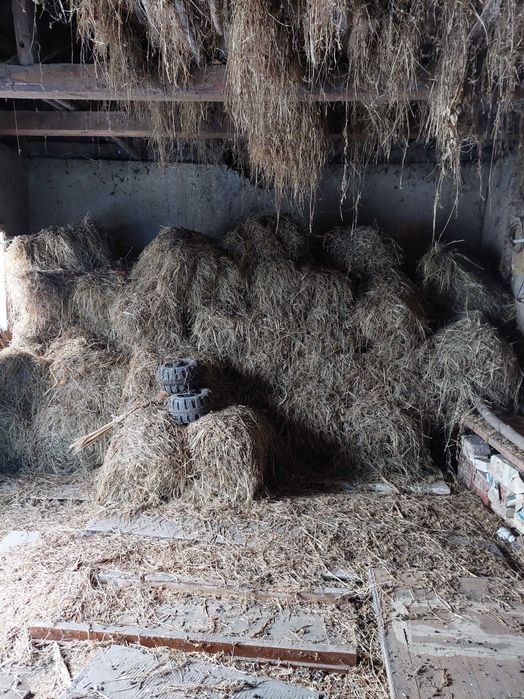 продам сіно різнотрав'я 2004 рік с. Шишківці