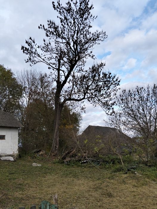 Зрізання дерев будь-якої складності!