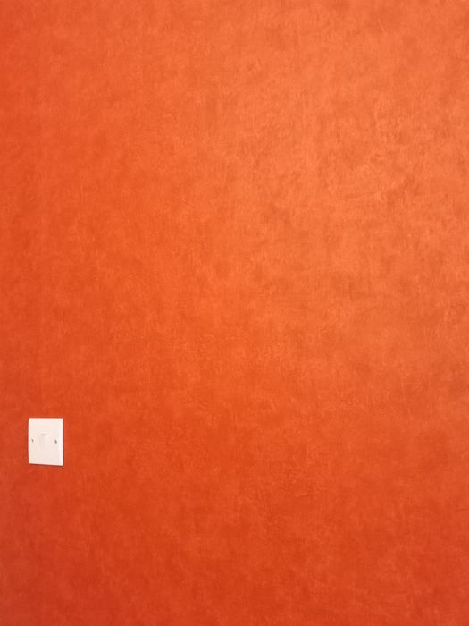 Шпалери rash quality