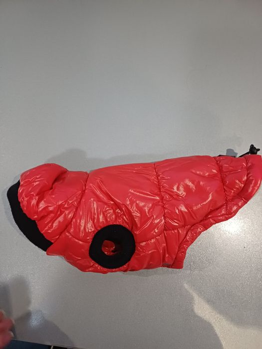 Одяг жля собачок