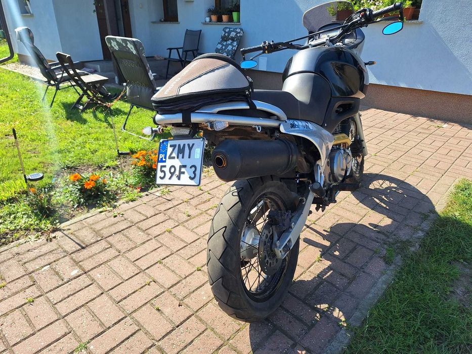 SUZUKI xf 650 freewind