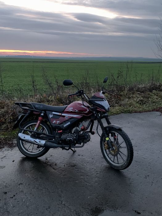 Мустанг фіт 2 2024