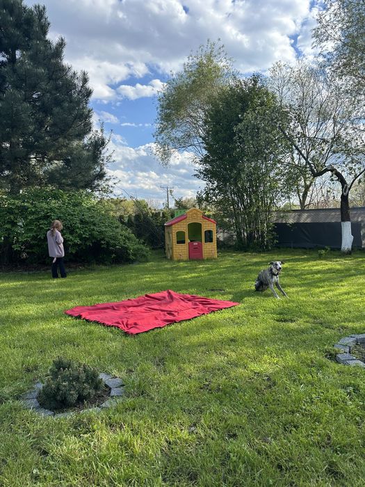 Działka ROD - ul. Morska