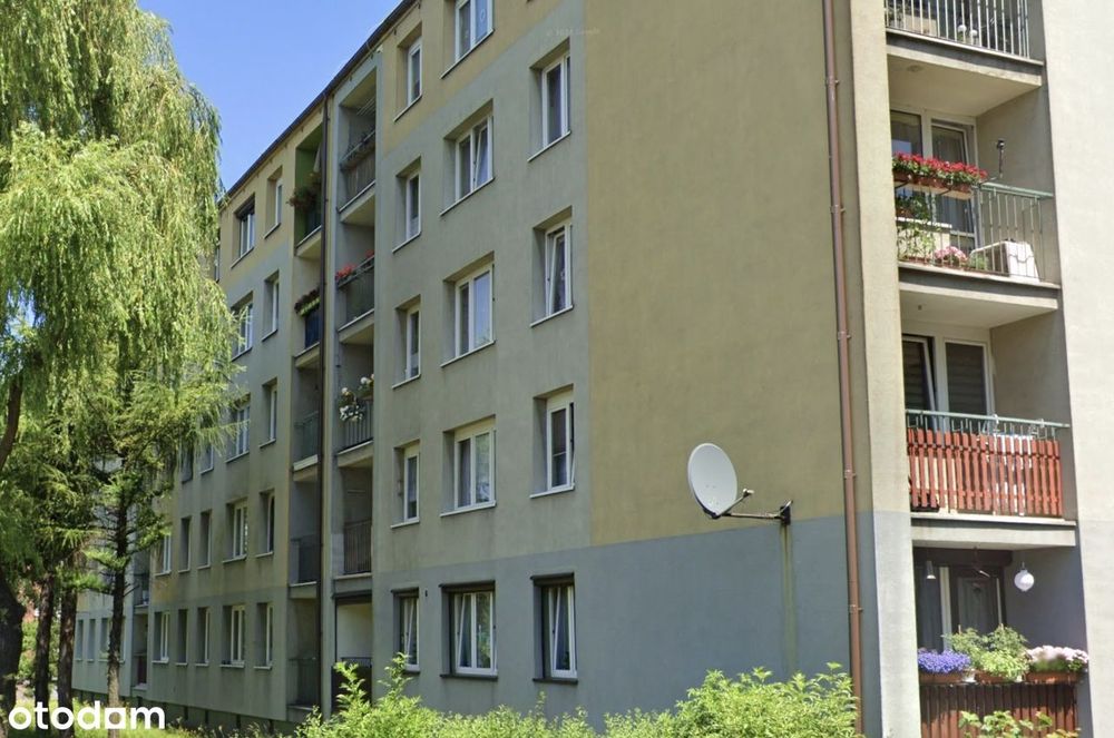 ul. Leszczynowa Zaborze - KAWALERKA