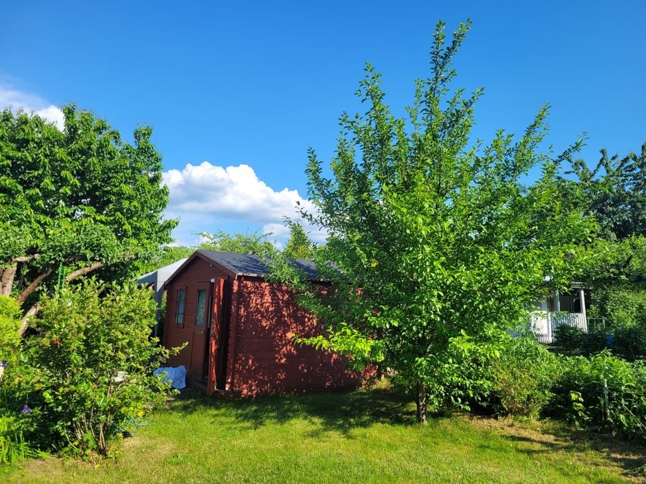 Działka  z altaną ROD