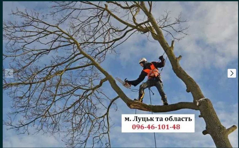 Зрізка, зрізання, спилювання дерев, зрізати дерево