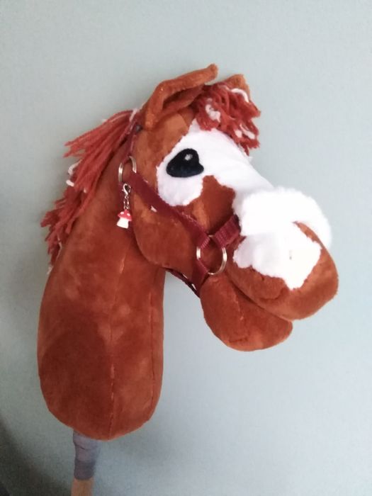 Hobby Horse, Konik na kiju