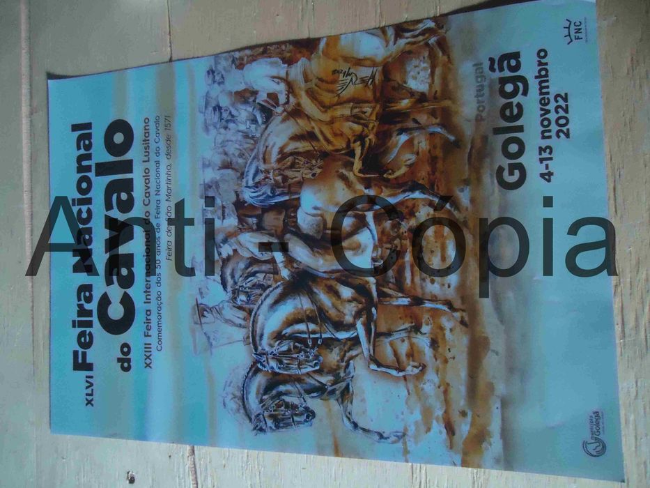 Cartazes de S. Martinho 30 x 45 aprox.