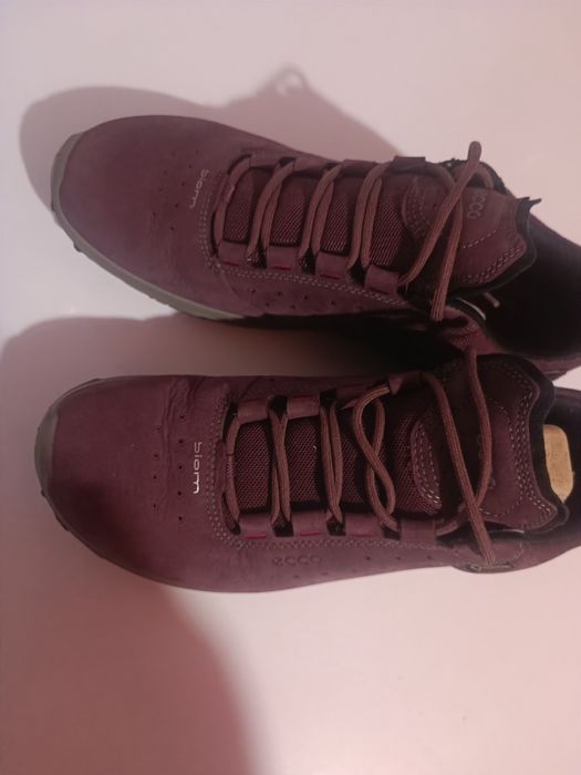 Кросівки    ECCO