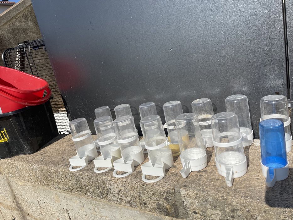 Bebedouros para Passaros