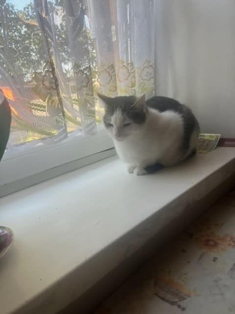 Liczymy na cud, że ktoś ją przygarnięcie do siebie..