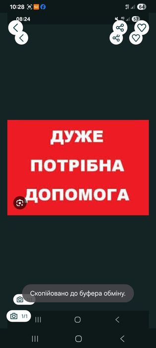 Залишилась одна с сином