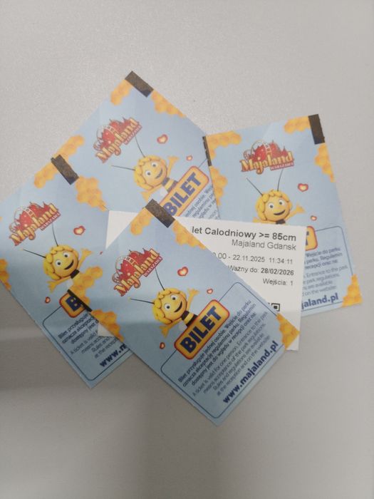 Bilet całodobowy do majaland Gdańsk
