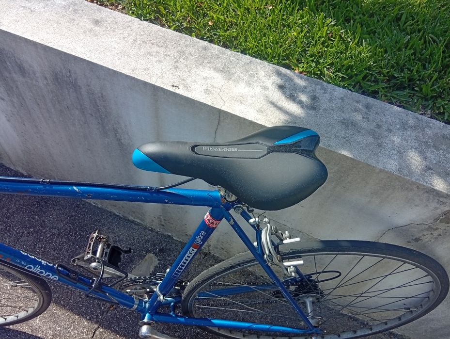Bicicleta estrada clássica Giant