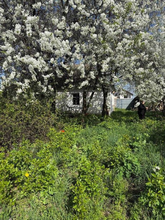 Продам будинок, 54 метри з ділянкою 23 сотки, Велика Димерка