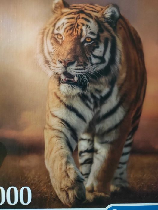 Puzzle - 1000 peças