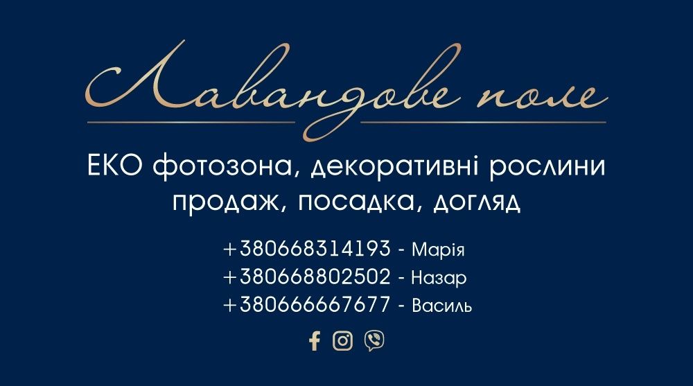 Туї Смарагд! Різного розміру від 0.30 см до 2.00м