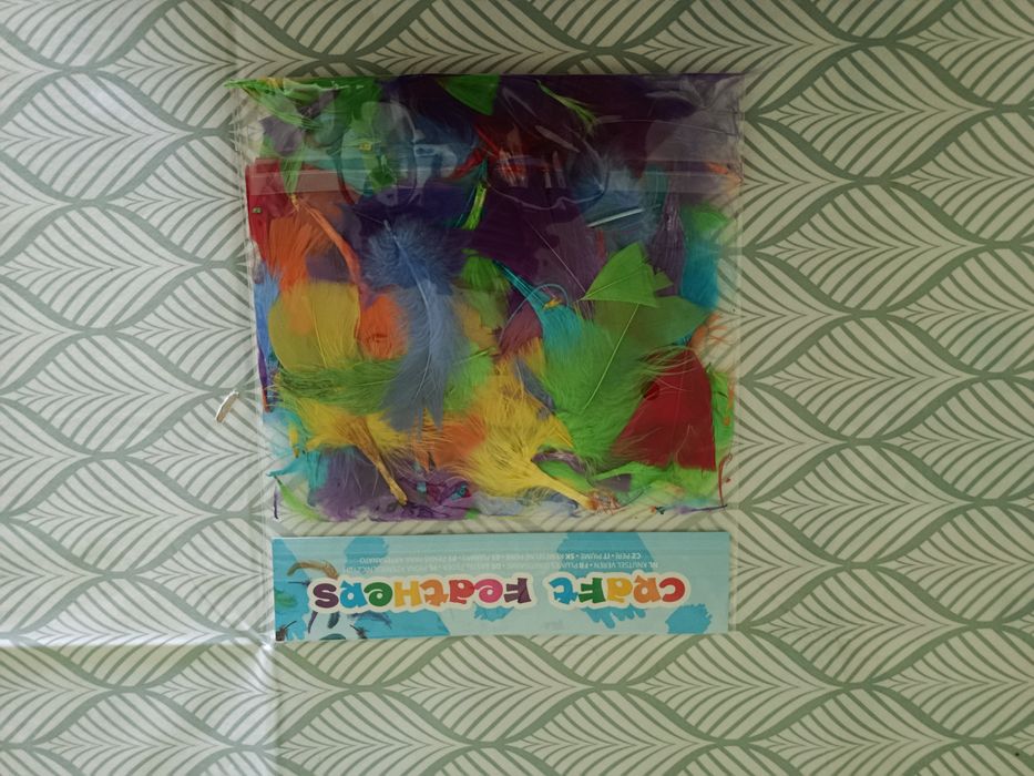 Pióra rzemieślnicze