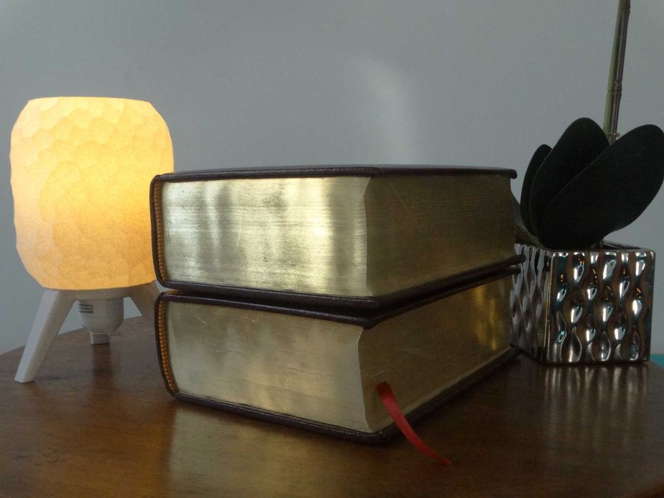 Dicionário da Lingua Portuguesa contemporânea