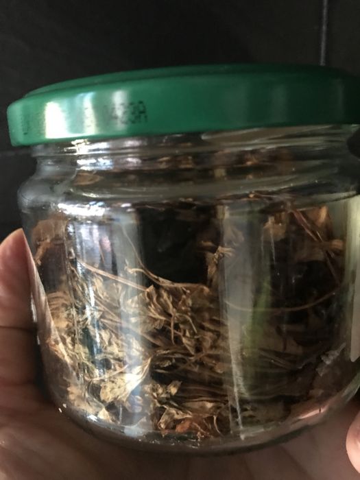 Plantas aromaticas desidratadas, temperos e chas