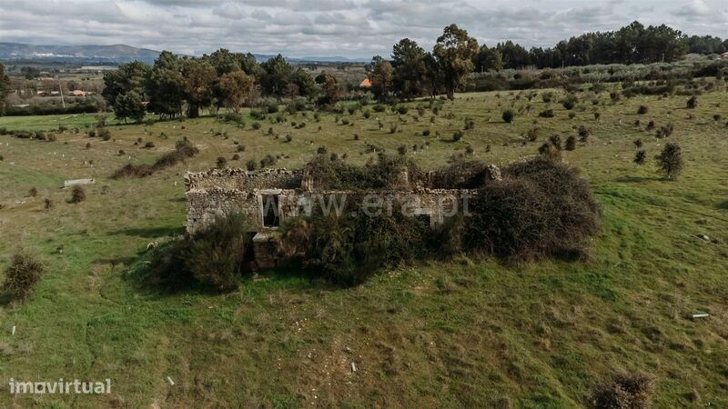 Quinta / Fundão, Atalaia do Campo