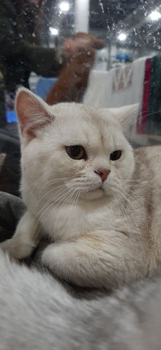 Мальчик красавчик