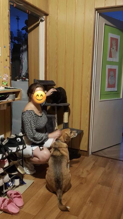 1-osobowy pokój blisko centrum