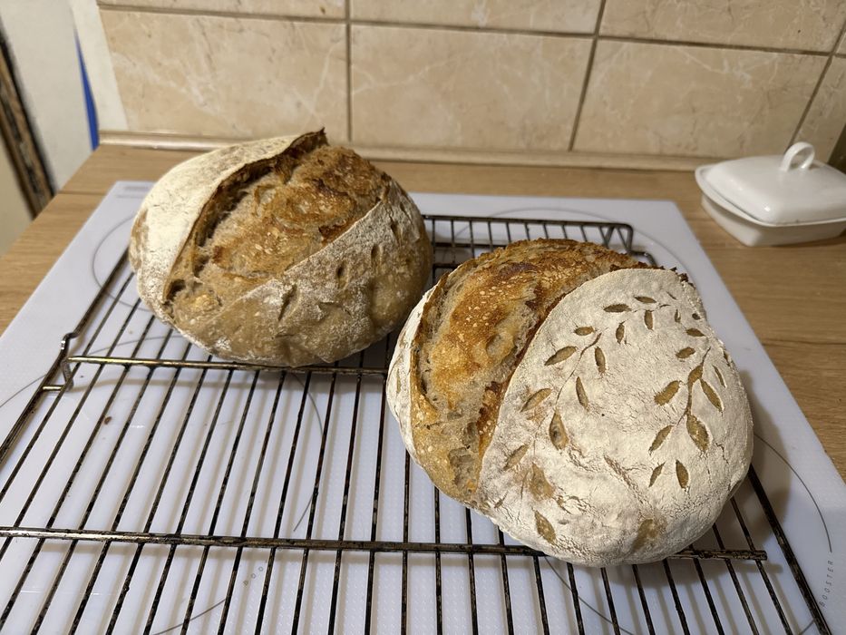 Wyroby domowe (pieczywo drozdzowe i na zakwasie)