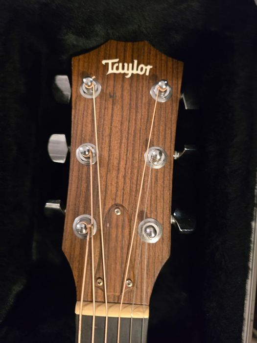 Viola Taylor 214ce‑SB DLX