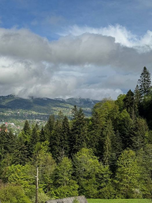 Найкрасивіші краєвиди в  Микуличині , земля Карпати, ділянка в горах