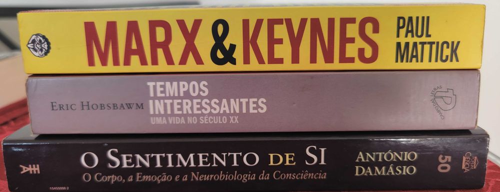 Livros de E.Hobsbawn, A.Damásio,