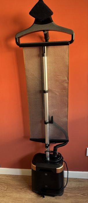 Ferro a Vapor Rowenta Pro Style