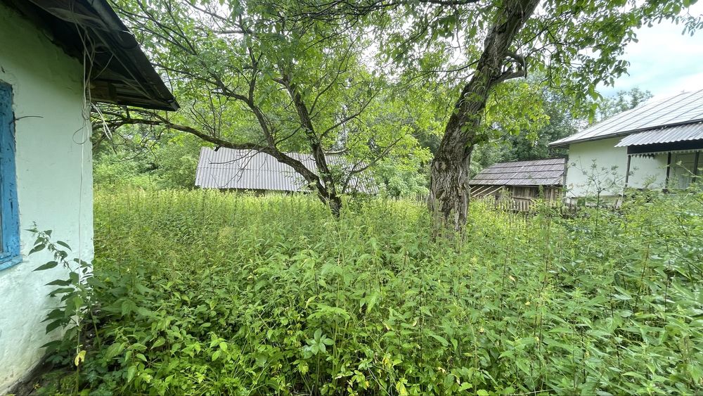 Продається деревяний будинок