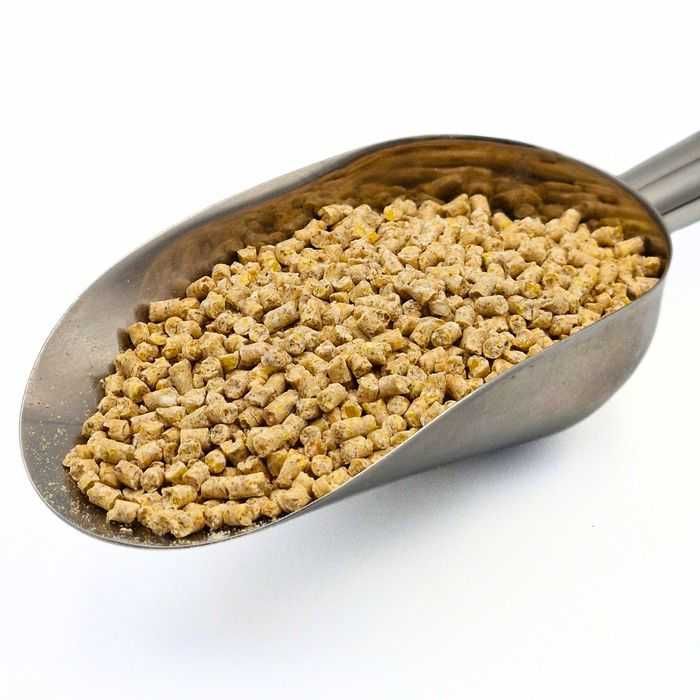 PASZA dla kurcząt GRANULAT DKM-2 - 10 kg KOJPASZ