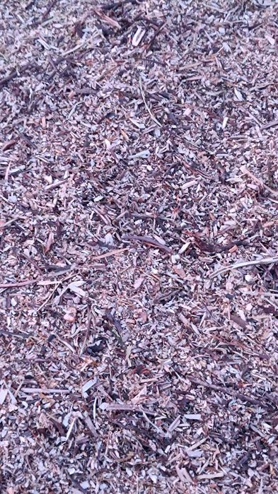 Zrębki orzech włoski,jabłoń,wiśnia.