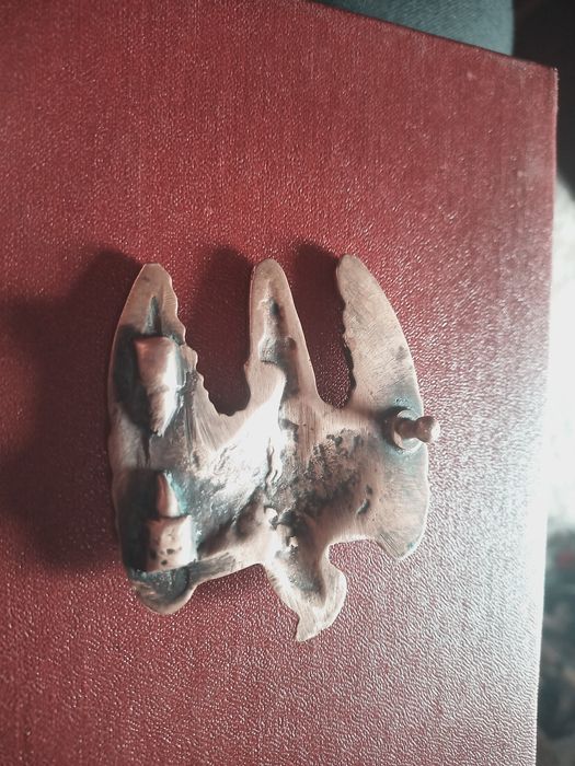 Бляха на ремень.