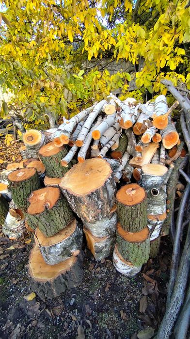 sprzedam drzewo na opał, drzewo opałowe