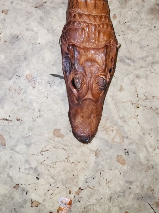 Пояс с головой крокодила