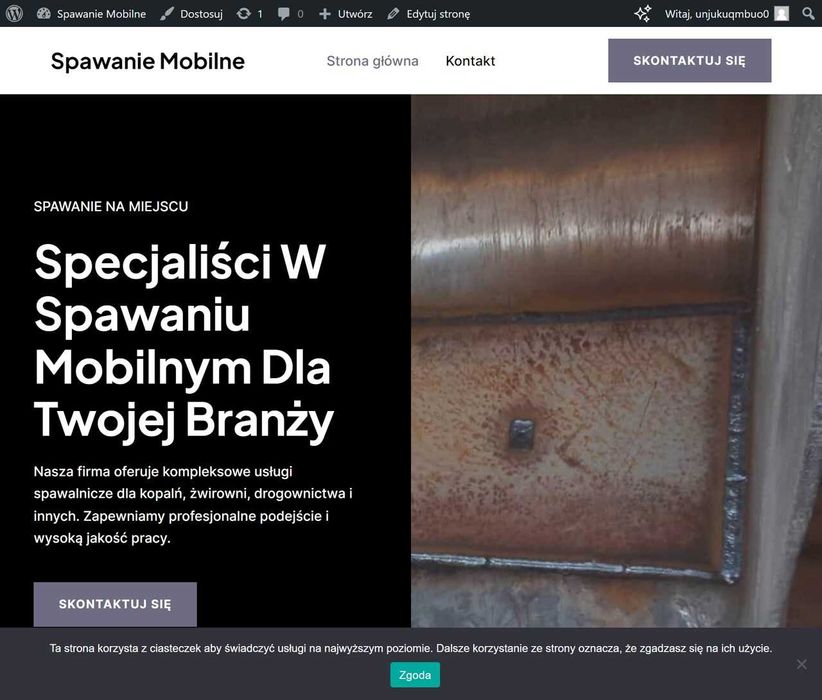 Wykonuję profesjonalne strony internetowe z pasją!