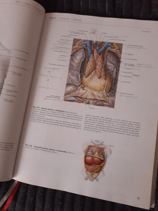 Atlas anatomii SOBOTTA (klatka piersiowa, miednica, jama brzuszna)