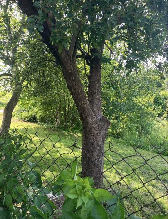 Na sprzedaż – działka budowlana 2 ha - Widok 2