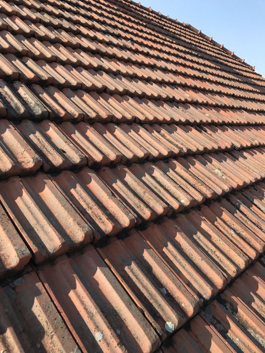 Продам б/у дахівку, і  гусаки 43штуки.Дахівки  орієнтовно 1500штук.